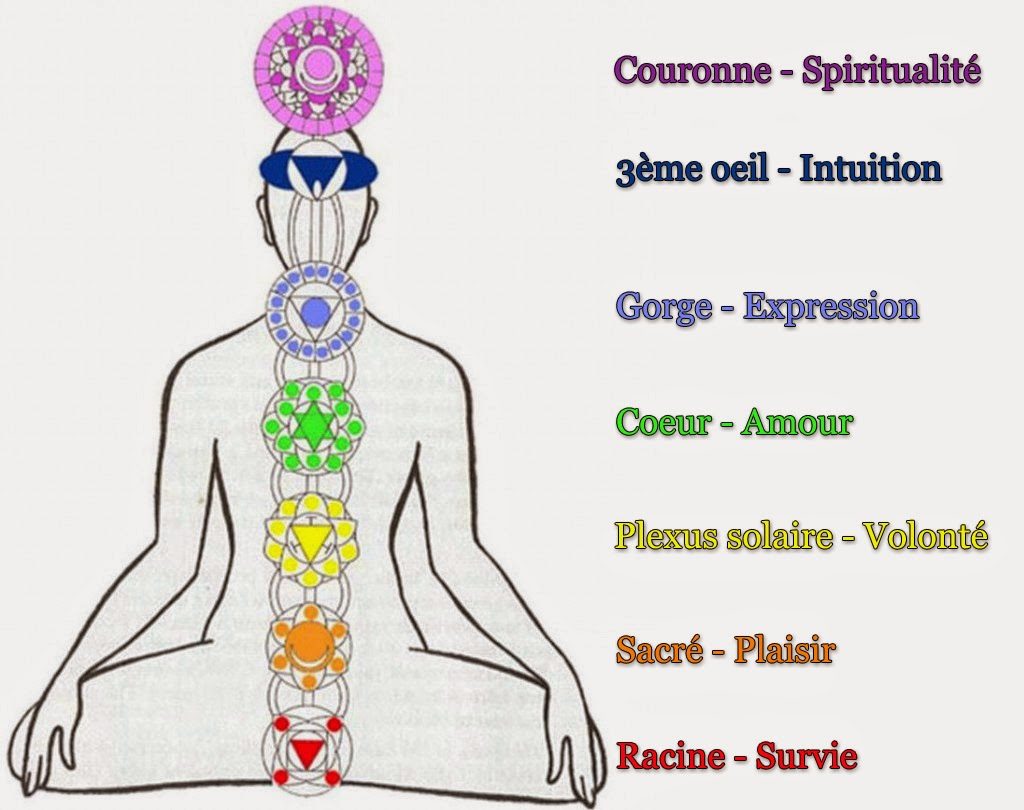 Les 7 chakras