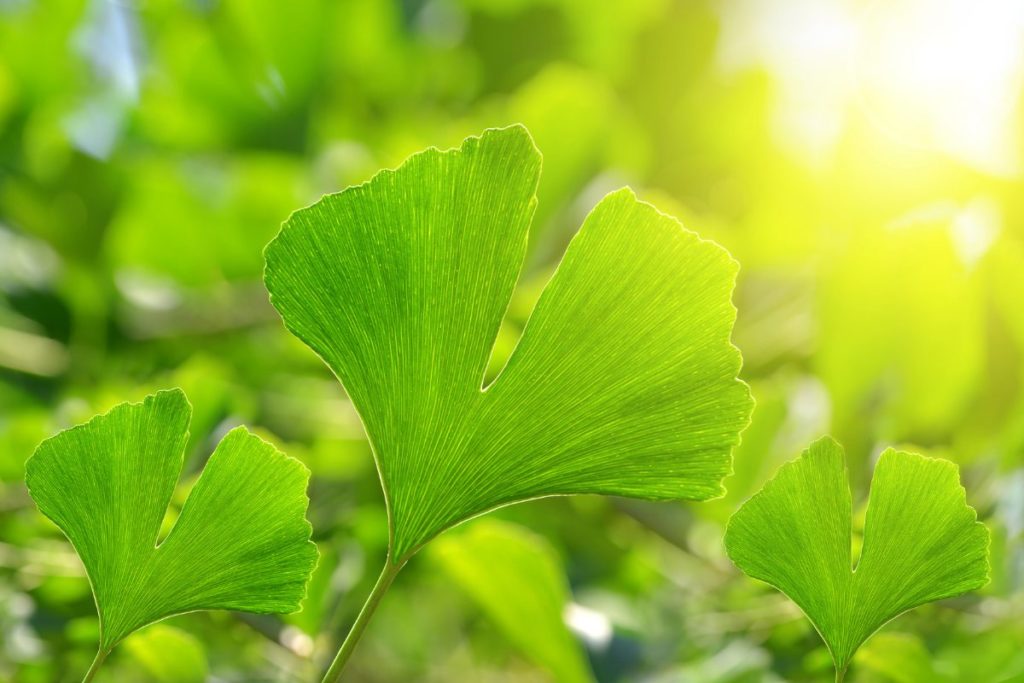 solutions naturelles contre les acouphènes